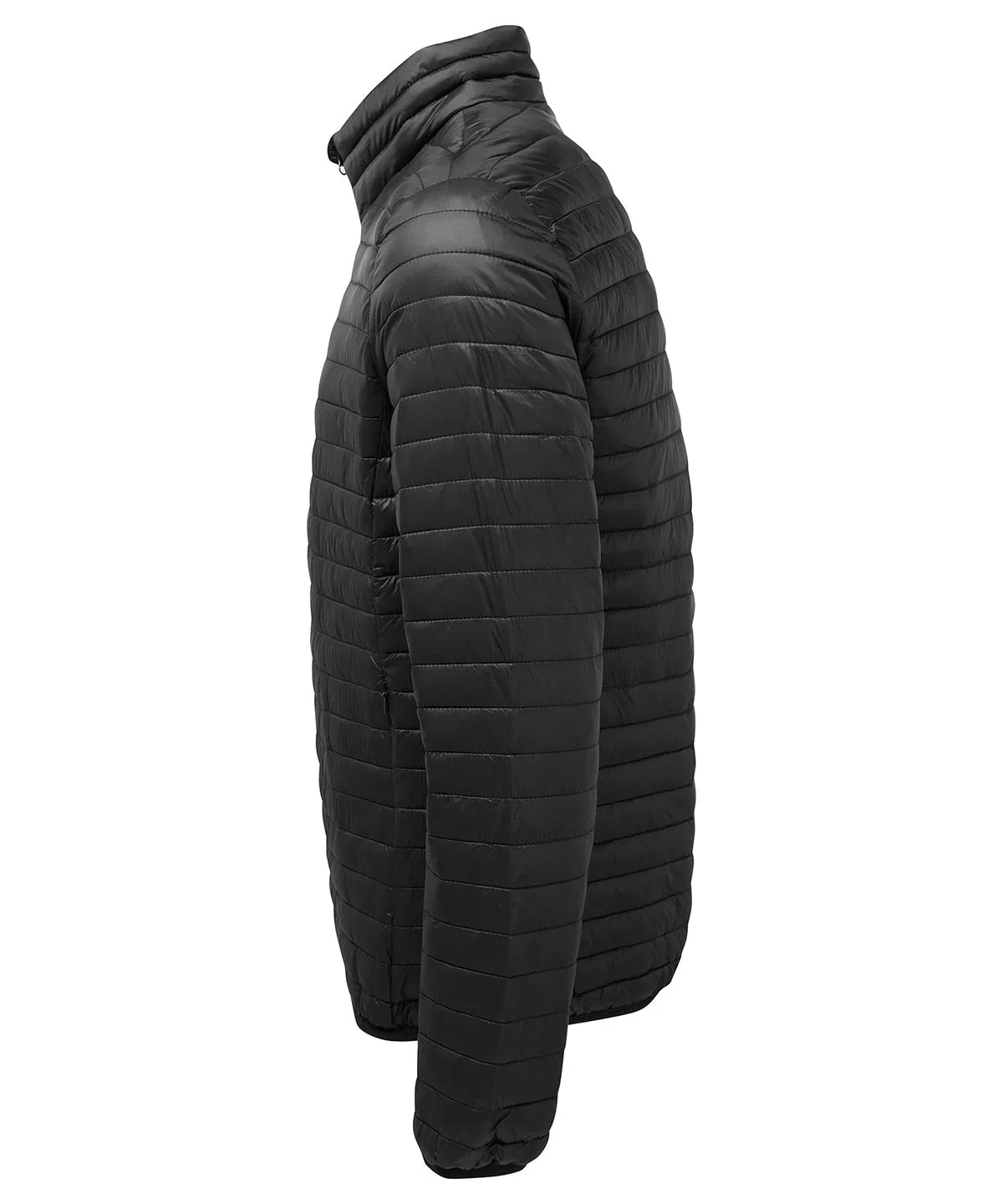 Fineline Padded Jacket