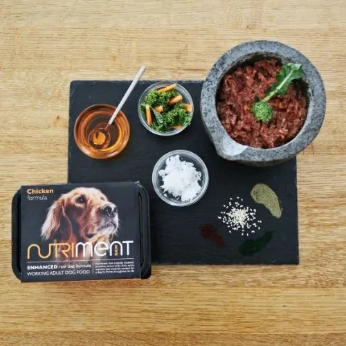 Nutriment Chicken Formula RAW Frozen Adult Dog Food Tub 500g